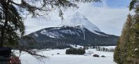 Wanderung zurück von der Muggenmoosalm und die Hohe Munde im Blick &ndash; &copy; Ria Heilmann (Eberhardt TRAVEL)