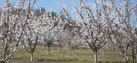 20260403_105958.jpg &ndash; &copy; Kerstin Hugel (Eberhardt TRAVEL)