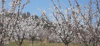 20260403_105957.jpg &ndash; &copy; Kerstin Hugel (Eberhardt TRAVEL)