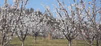 20260403_105956.jpg &ndash; &copy; Kerstin Hugel (Eberhardt TRAVEL)