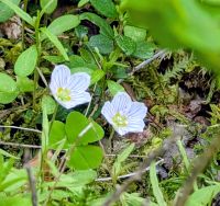 herrliche Natur