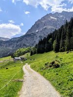 Fast auf der Zielgeraden zu einer Alpe. Diese war aber voll. &ndash; &copy; Marlies Krause (Eberhardt TRAVEL)