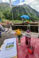 Die Alpe 