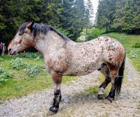 Er hat sich problemlos streicheln lassen. &ndash; &copy; Marlies Krause (Eberhardt TRAVEL)