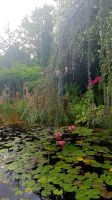Strobl - im Garten von Elisabeth 12 &ndash; &copy; Anke Nicke (Eberhardt TRAVEL)