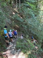 SalzAlpenSteig Etappe 11: Abstieg nach Kuchl &ndash; &copy; Patrick Fritzsche-Vorwerg (Eberhardt TRAVEL)