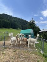 &copy; Patrick Fritzsche-Vorwerg (Eberhardt TRAVEL)