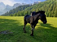 &copy; Patrick Fritzsche-Vorwerg (Eberhardt TRAVEL)