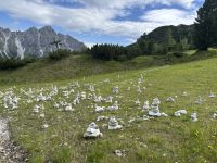 &copy; Gerd Müller (Eberhardt TRAVEL)