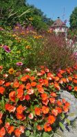 Insel Mainau 26 &ndash; &copy; Anke Nicke (Eberhardt TRAVEL)