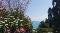 Insel Mainau 21 &ndash; &copy; Anke Nicke (Eberhardt TRAVEL)