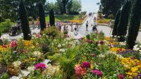 Insel Mainau 41 &ndash; &copy; Anke Nicke (Eberhardt TRAVEL)