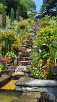 Insel Mainau 39 &ndash; &copy; Anke Nicke (Eberhardt TRAVEL)