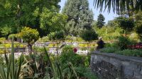 Insel Mainau 33 &ndash; &copy; Anke Nicke (Eberhardt TRAVEL)