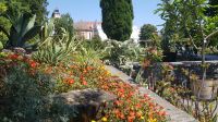 Insel Mainau 07 &ndash; &copy; Anke Nicke (Eberhardt TRAVEL)