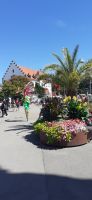 Lindau