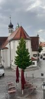 Wangen