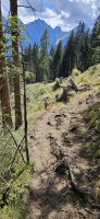 Abstieg zur Vergölalm &ndash; &copy; Ria Heilmann (Eberhardt TRAVEL)