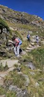 Alpiner Wanderweg