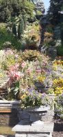 Insel Mainau &ndash; &copy; Kerstin Hugel (Eberhardt TRAVEL)