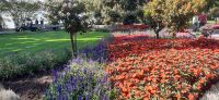 Insel Mainau &ndash; &copy; Kerstin Hugel (Eberhardt TRAVEL)