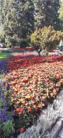 Insel Mainau &ndash; &copy; Kerstin Hugel (Eberhardt TRAVEL)
