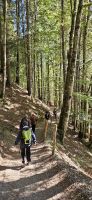Abstieg in die Breitachklamm &ndash; &copy; Ria Heilmann (Eberhardt TRAVEL)