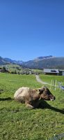 Riezler Höhenweg mit Blick zum Ifen &ndash; &copy; Ria Heilmann (Eberhardt TRAVEL)