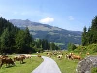 Eberhardt TRAVEL E-Bike Gruppe in Tirol &ndash; &copy; Jens Fischer (Eberhardt TRAVEL)