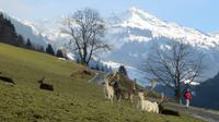 Eberhardt TRAVEL Winterreise in den Kitzbueheler Alpen/Brixental/Tirol - Wildpark Aurach &ndash; &copy; Mandy Lehmann (Eberhardt TRAVEL)