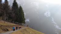 Eberhardt TRAVEL Winterreise in den Kitzbueheler Alpen/Brixental/Tirol - Wildpark Aurach &ndash; &copy; Mandy Lehmann (Eberhardt TRAVEL)