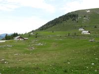 Hochalm am Tratberg