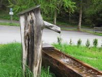 Brunnen bei Mack's