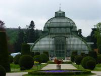 Palmenhaus Schloss Schönbrunn &ndash; &copy; Kerstin Hugel (Eberhardt TRAVEL)