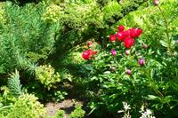 Insel Mainau &ndash; &copy; Kerstin Hugel (Eberhardt TRAVEL)