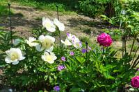 Insel Mainau &ndash; &copy; Kerstin Hugel (Eberhardt TRAVEL)