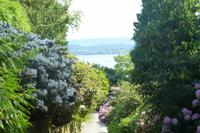 Insel Mainau &ndash; &copy; Kerstin Hugel (Eberhardt TRAVEL)