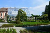 Palmenhaus Insel Mainau &ndash; &copy; Kerstin Hugel (Eberhardt TRAVEL)