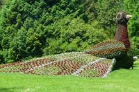 Insel Mainau &ndash; &copy; Kerstin Hugel (Eberhardt TRAVEL)