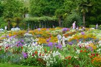 Insel Mainau &ndash; &copy; Kerstin Hugel (Eberhardt TRAVEL)