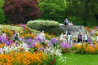 Insel Mainau &ndash; &copy; Kerstin Hugel (Eberhardt TRAVEL)