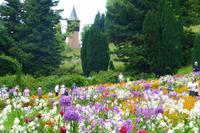 Insel Mainau &ndash; &copy; Kerstin Hugel (Eberhardt TRAVEL)