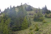 Walmerdinger Horn &ndash; &copy; Kerstin Hugel (Eberhardt TRAVEL)