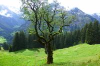 Walmerdinger Horn &ndash; &copy; Kerstin Hugel (Eberhardt TRAVEL)