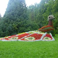 Insel Mainau &ndash; &copy; Kerstin Hugel (Eberhardt TRAVEL)
