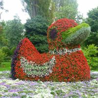 Insel Mainau &ndash; &copy; Kerstin Hugel (Eberhardt TRAVEL)
