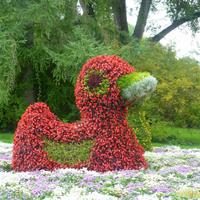 Insel Mainau &ndash; &copy; Kerstin Hugel (Eberhardt TRAVEL)