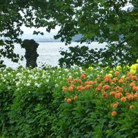 Insel Mainau &ndash; &copy; Kerstin Hugel (Eberhardt TRAVEL)