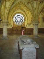 IMG_3351