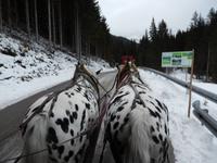 Kutschfahrt &ndash; &copy; Kerstin Hugel (Eberhardt TRAVEL)